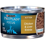 Purina Pro Plan Kitten Canned