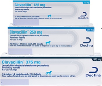 Clavacillin Tablet
