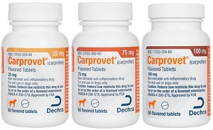 Carprovet Flavor Tabs - Carprofen