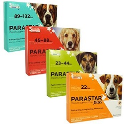 Parastar Plus Dog