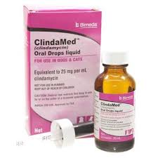 Clindamycin Drops