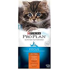 Purina Pro Plan Kitten Dry