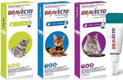 Bravecto Topical for Cats